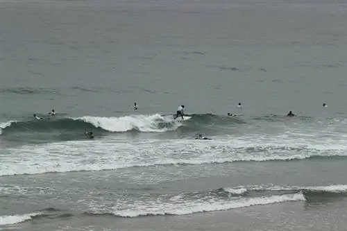 Пляж Лонгара в Луго