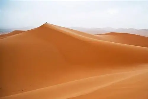 ERg Chebbi в Марокко