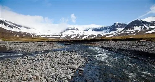 Хорнстрандир в Исландии