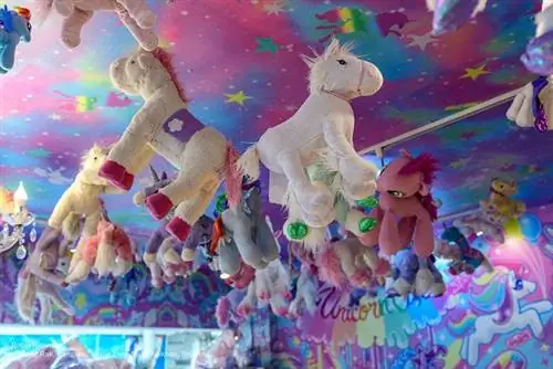 Единорог Кафе Крыша