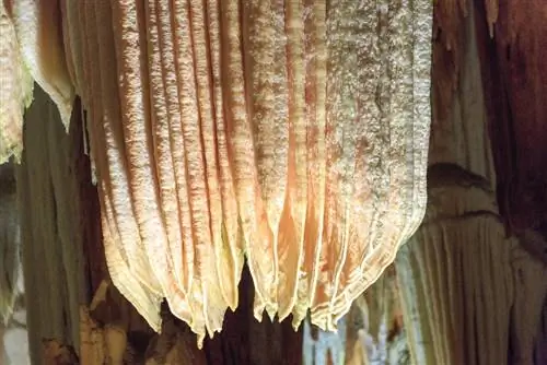 Деталь Орлиной пещеры