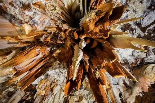 Внутри пещер Агила