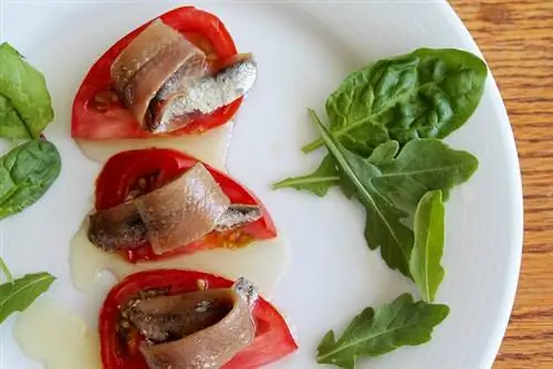 Кантабрийские анчоусы