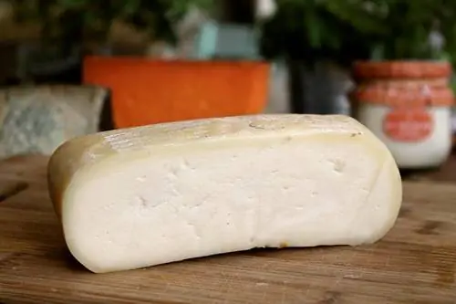 сыр пасьего