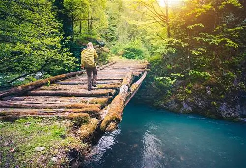 Путешественник в природном парке