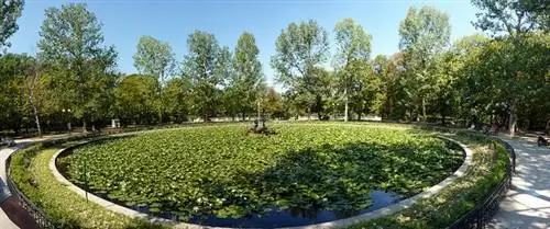 Борисова градина в Софии