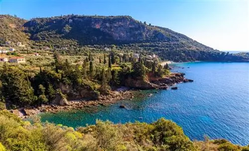 Кардамили Берег