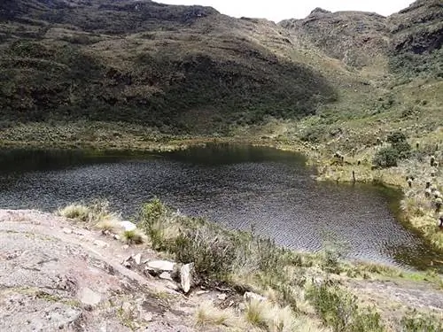 Лагуна Игуаке