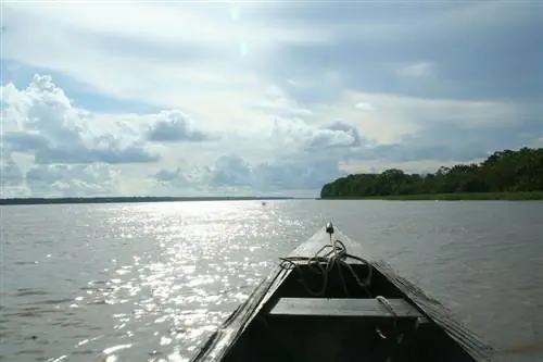 Каноэ в Амазонке