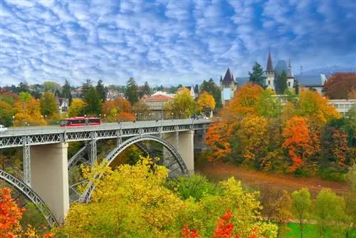 Вид на Берн осенью