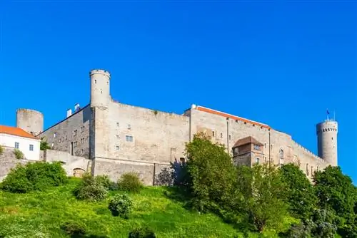 Замок Тоомпеа в Таллинне