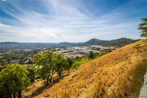 Арасена в Уэльве