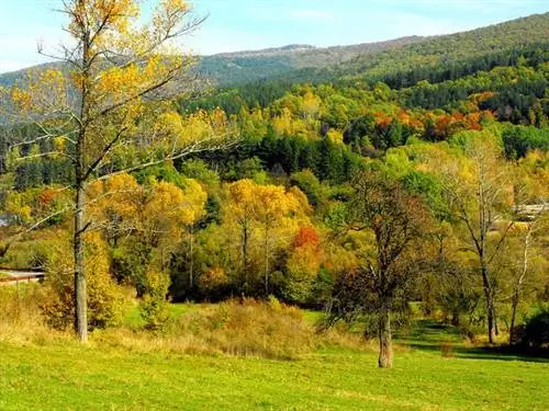 Парк Вистоша - одно из обязательных к посещению мест в Болгарии.