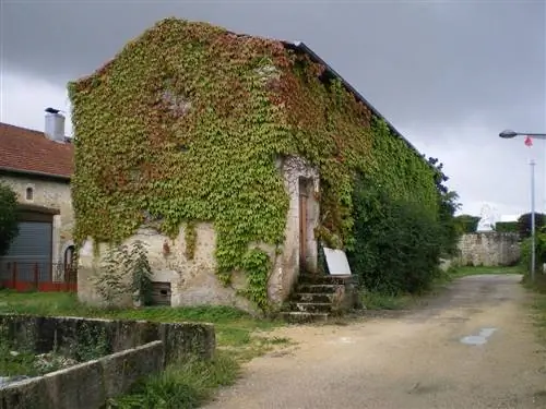 Домреми-ла-Пюсель, деревня Жанны д'Арк.