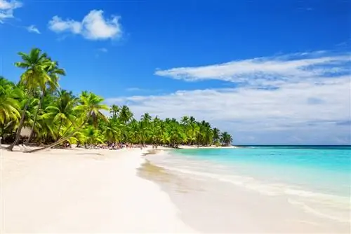 Пляж в Пунта-Кане