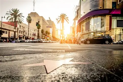 Посмотрите Аллею славы, одно из развлечений в Лос-Анджелесе.