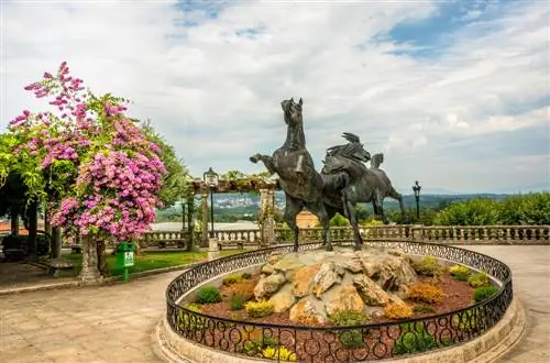 Памятник дикой лошади Туи