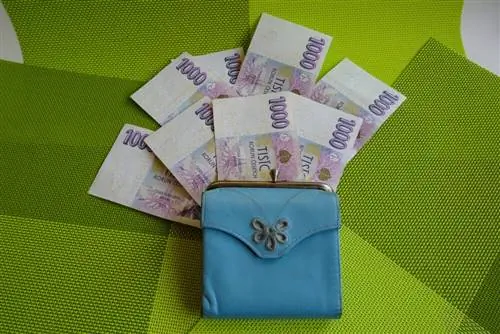 Чешские кроны