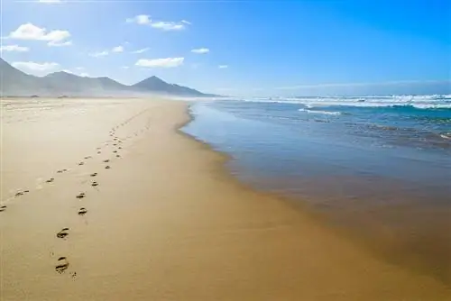 Места для посещения на острове Фуэртевентура на Канарских островах