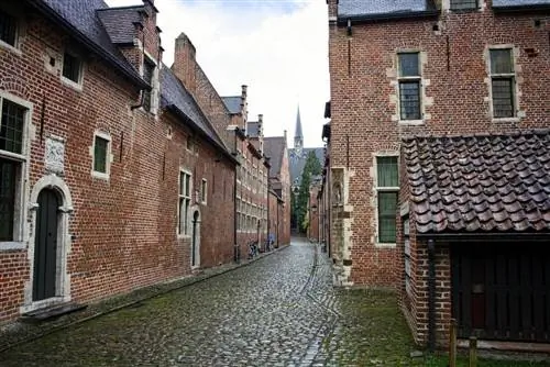 Левен Бегинаж