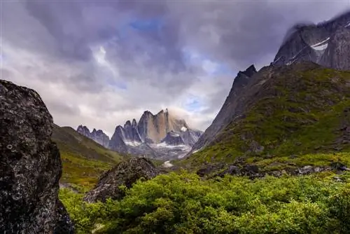 Тасермиут-фьорд