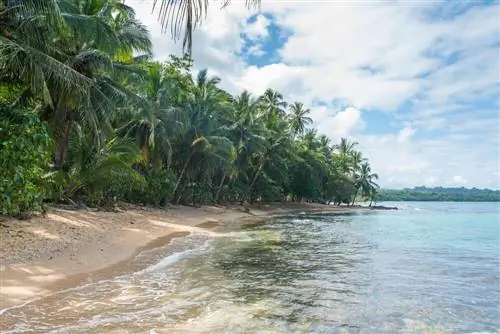 Познакомьтесь с национальным заповедником дикой природы Гандока.