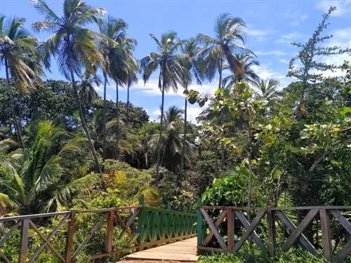 Интерьер национального заповедника дикой природы Гандока