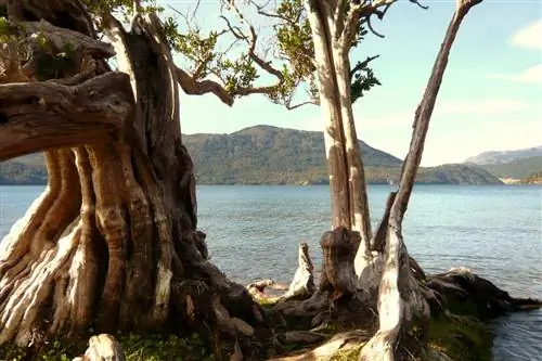 Вид на озеро в Кила-Кина