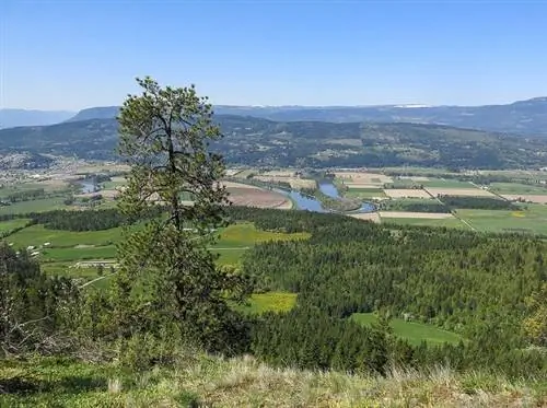 Пейзаж Эндерби