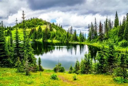 Шусвапские горы