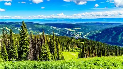 Обзорная экскурсия по Эндерби и озеру Шусвап