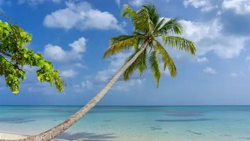 Кайо Левантадо в Самане