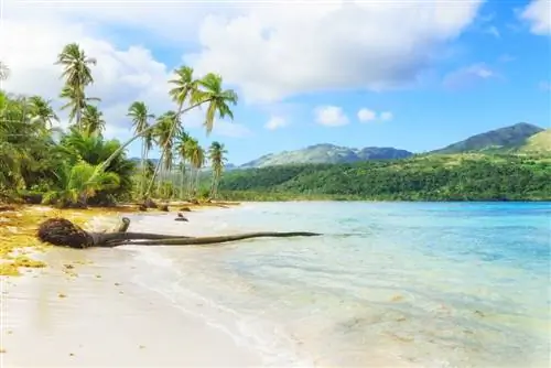 8 причин поехать в Саману в Доминиканской Республике