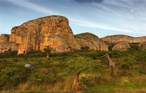 Фауна в заповеднике Миландо недалеко от Маланже