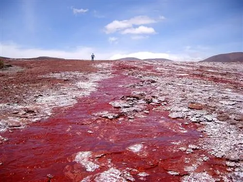 Красная лагуна на севере Чили