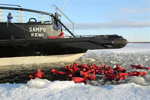Купание в Балтике, круиз на ледоколе «Сампо»