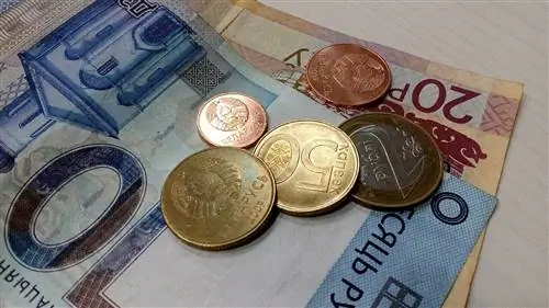 Рубли - валюта, необходимая для поездки в Беларусь.