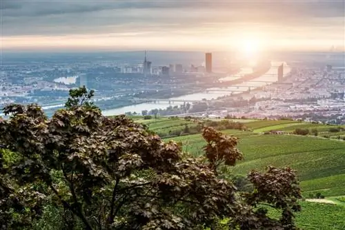 Переправа Дуная через Вену