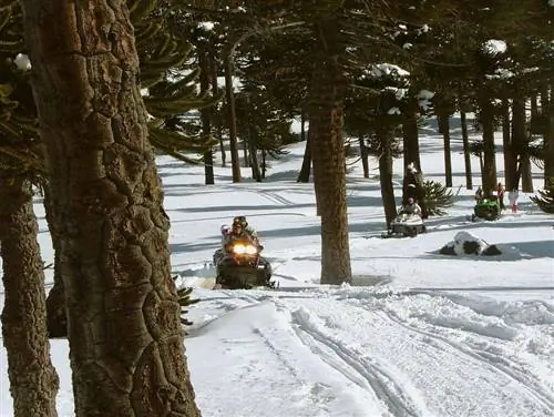 Поездка на мотоцикле через Кавиауэ