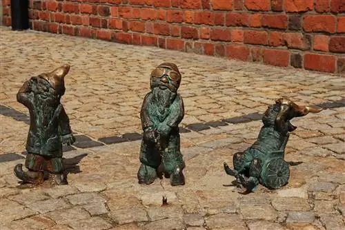 Гномы во Вроцлаве