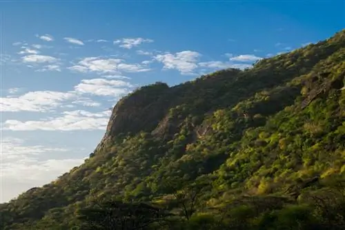 Вид на склон горы