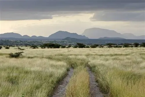 Гора Ололокве в Самбуру