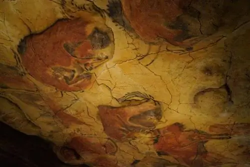 Посетите музей Альтамиры и Неокуэву в Кантабрии