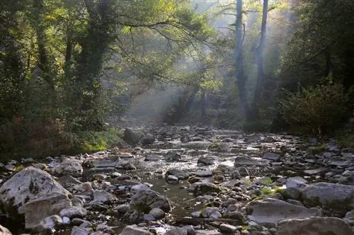 Река Андака в Дряново.
