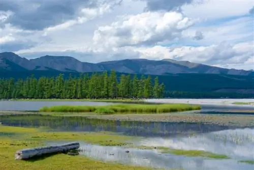 Вид на озеро Ховсгул