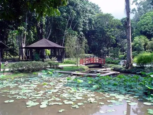 Японский сад в Ботаническом саду Рио-де-Жанейро.