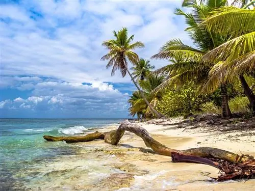 Пейзаж острова Саона