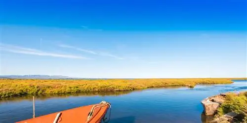 Лодка в дельте Эбро