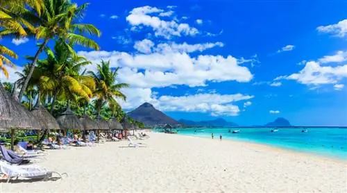 Наслаждайтесь пляжем Флик-ан-Флак на Маврикии