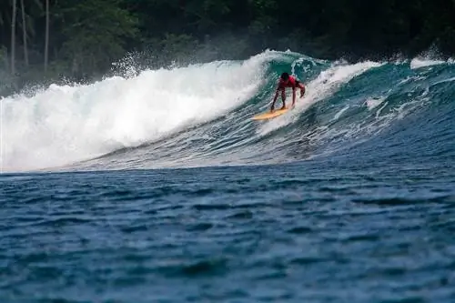 Серфер в Сиаргао